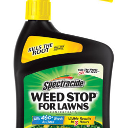 Spectracide 7826506 Weed Stop Concentrate Weed Control for Lawns&#44; 32 oz - Case of 6