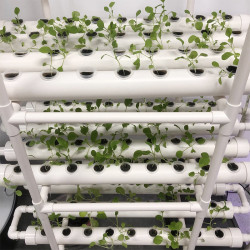 NFT Hydroponics System with 108 Holes Kits,Vertical Hydroponic Growing Systems PVC Tube Plant Vegetable