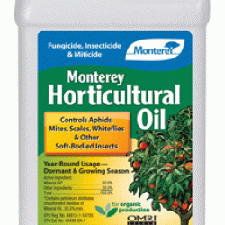Monterey Lawn LG6294 32 oz. Horticultural Oil